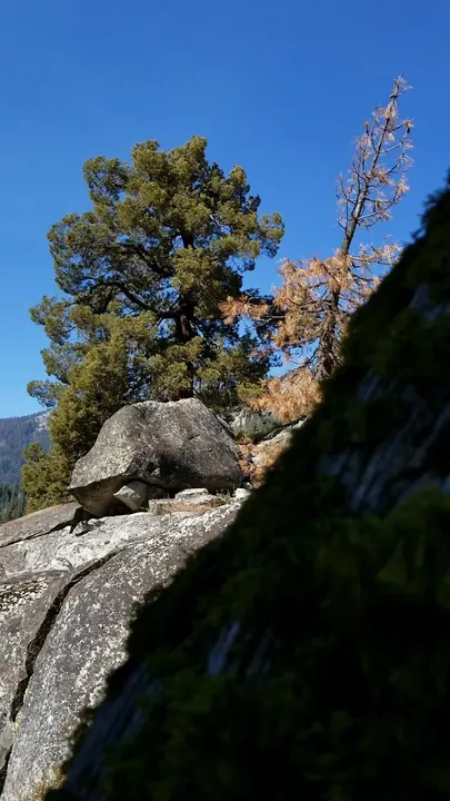 Première fois que je poste ici, devrions-nous publier plus de nos aventures ? :)