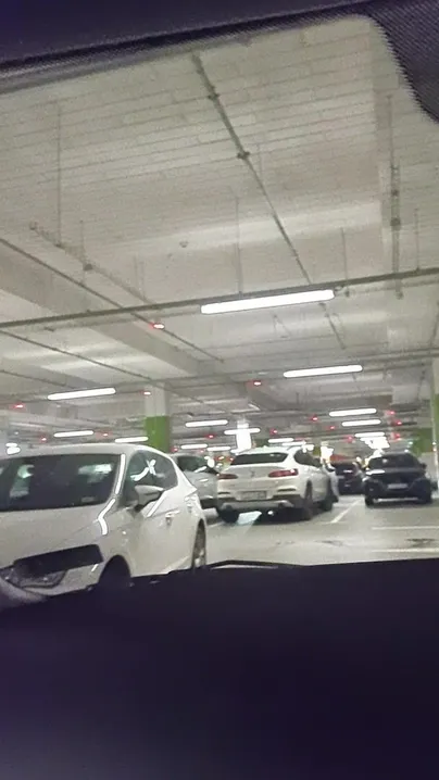 What would you do if you saw me flashing my boobs on the parking lot at the mall?