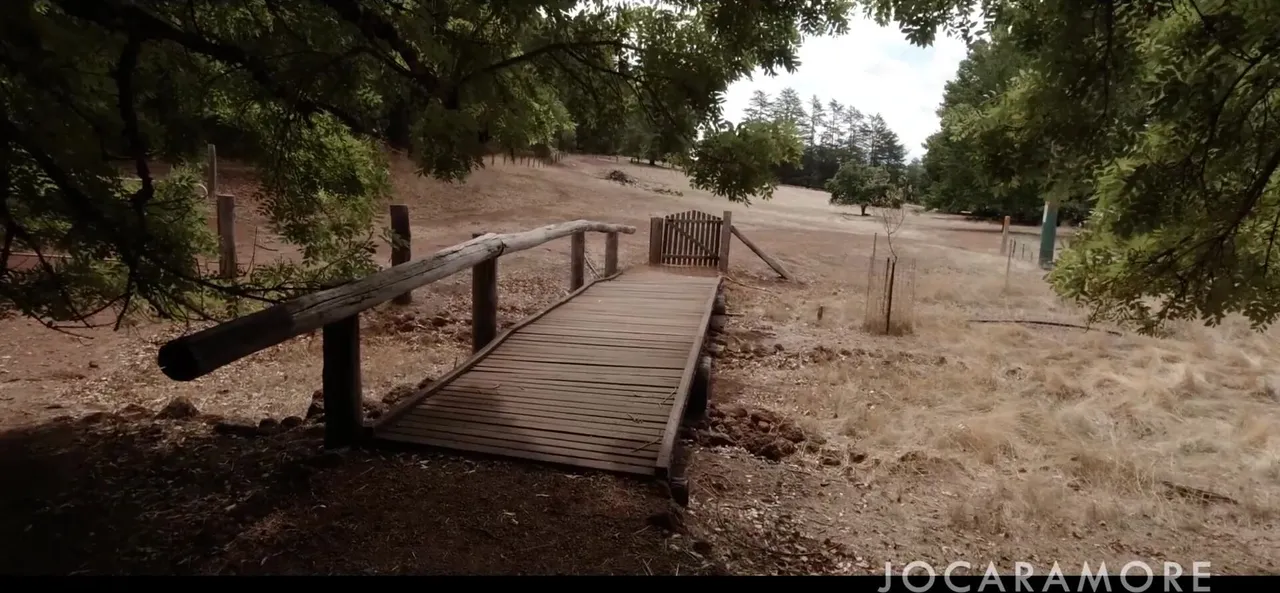 O banco do parque tinha a altura perfeita, tivemos que aproveitar!