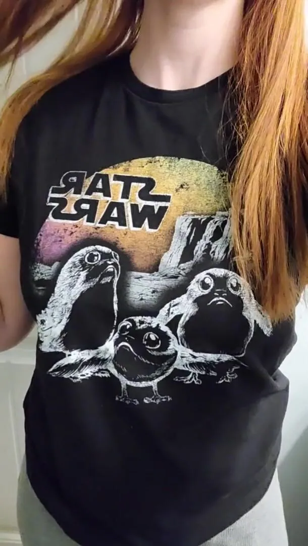 ¡Primera publicación! ¿Te gustan mis lindos porgs?