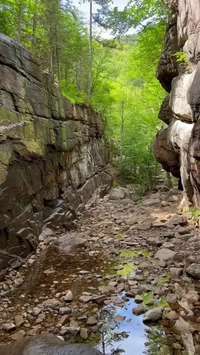 Sowas mit Schwänzen in der freien Natur macht mich so nass