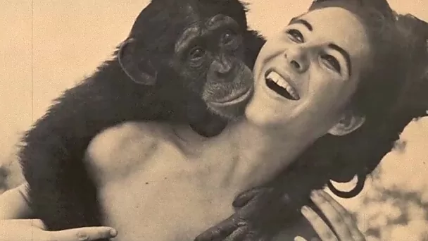 Compilation vintage femmes et animaux. Scènes rétro avec des femmes nues