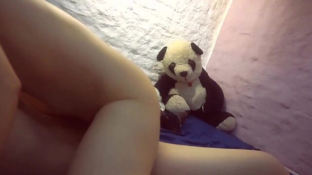 Panda teddy bear witnessed my first sex with best friend from school