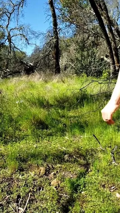 Celebrando il caldo clima primaverile