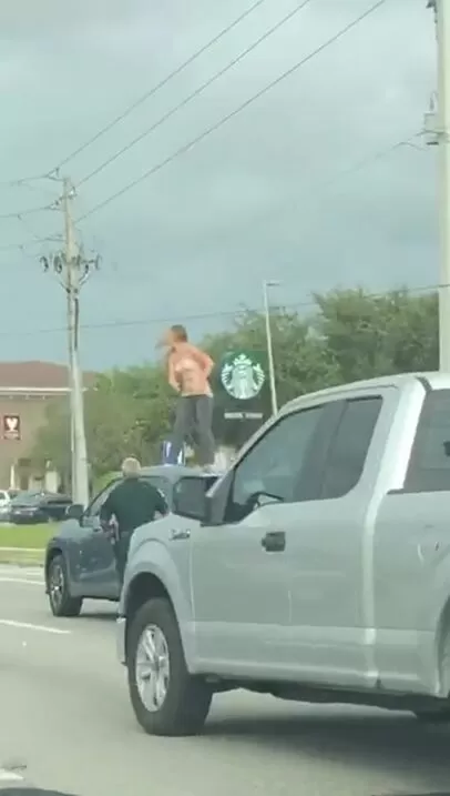 Florida Woman Gone Wild
