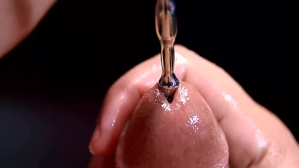 Close-up penisgeluid en diepste inbrenging van de plug