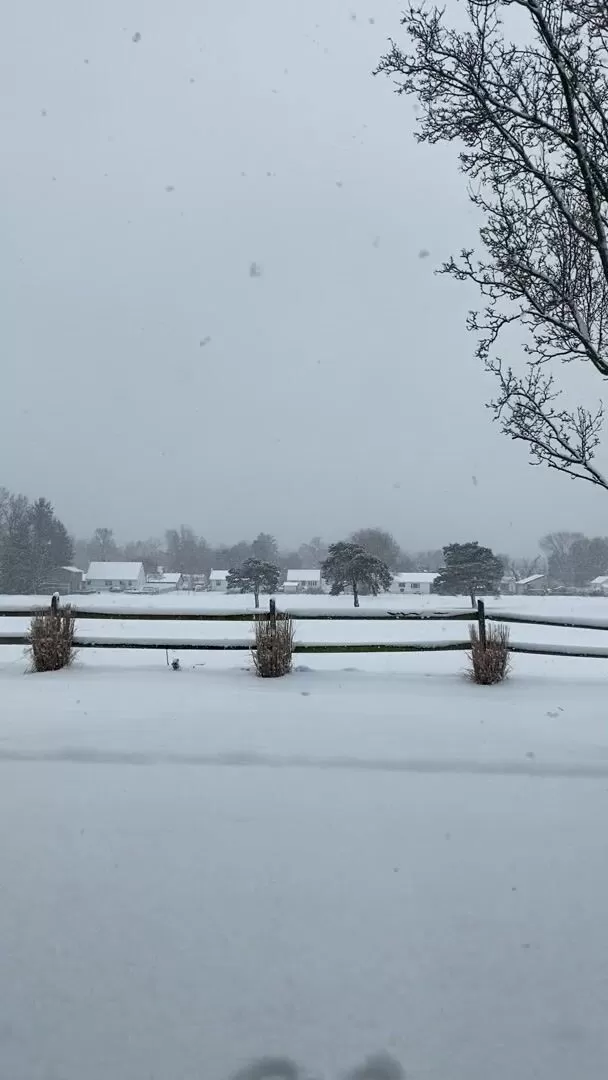 近所の人と一緒に、ふざける代わりに雪かきを始めるべきかもしれません...