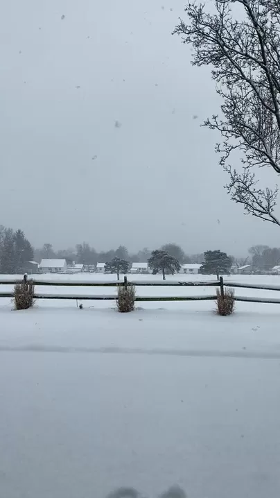 Probablemente debería unirme a mi vecino y empezar a palear en lugar de perder el tiempo...