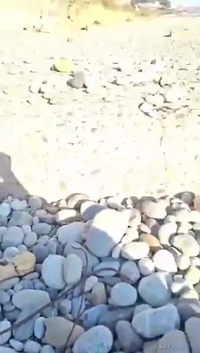 Ragazza viene taggata in spiaggia in pubblico