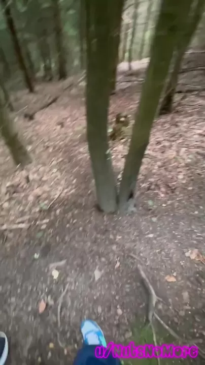 Perguntei se ele gostou do nosso dia na floresta.  Sua resposta: Que floresta?