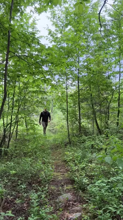 J'espère que ce n'est pas de l'herbe à puce