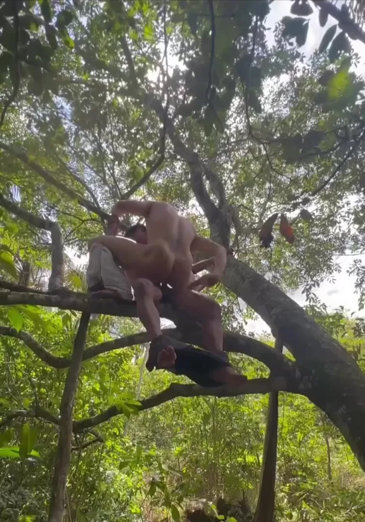 Bruder, es ist nicht schwul, wenn es auf einem Baum sitzt