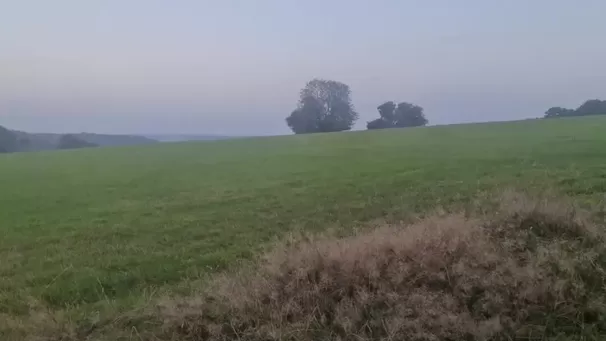 Adoro a sensação de estar totalmente nua em uma bela trilha para caminhada