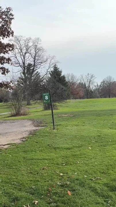 Riskanter Spaß auf einem Golfplatz. Will jemand spielen? ⛳️