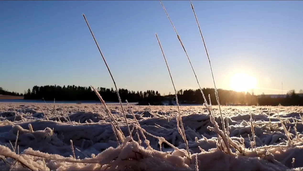 Miło było poznać Pana.  Słońce