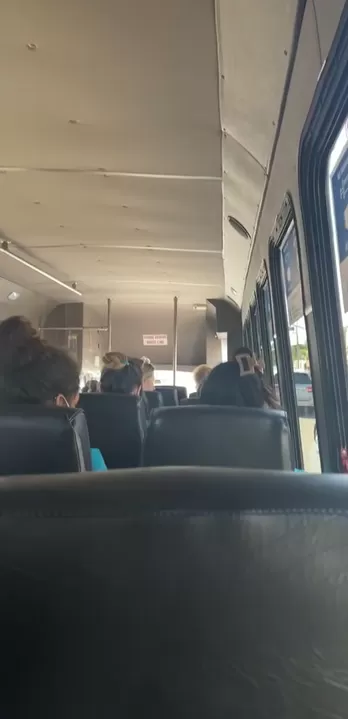 Se masturbando no ônibus para o trabalho