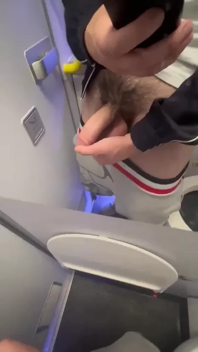 Dans l'avion avec ma bite dehors