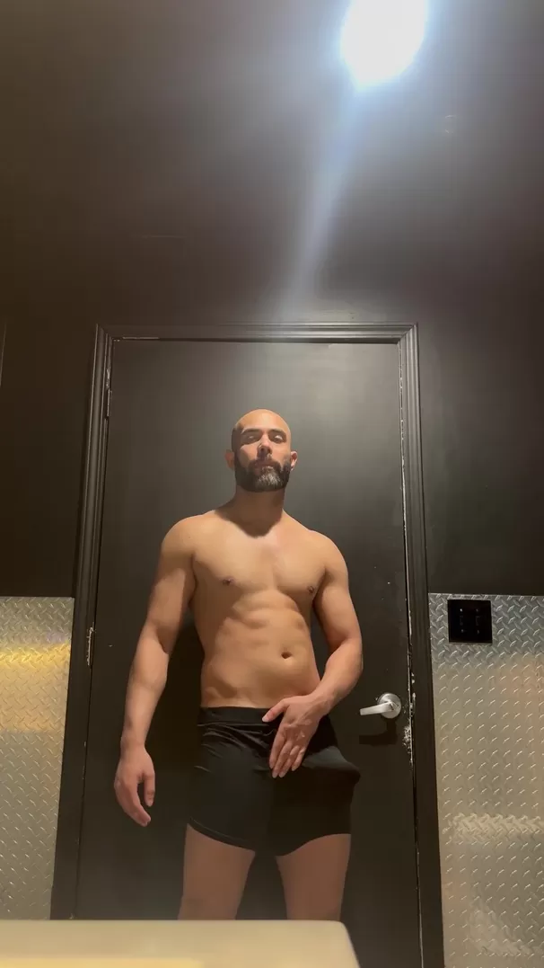 31 Pan Bull Cock Révélation
