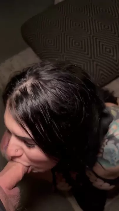 Donne-moi ta meilleure réplique pour me convaincre de te sucer la bite