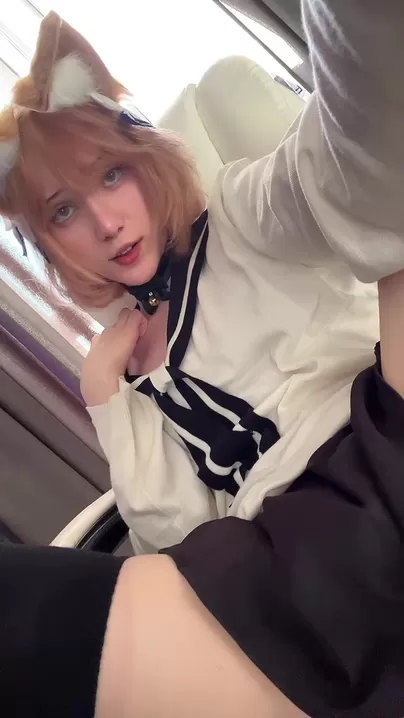 ペットに温かいミルクをあげてみませんか?