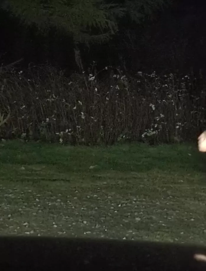 Je suis sortie de l'autoroute, tu me suis arrivée après ?