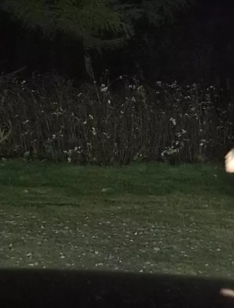 Ho lasciato l'autostrada, mi stai seguendo?