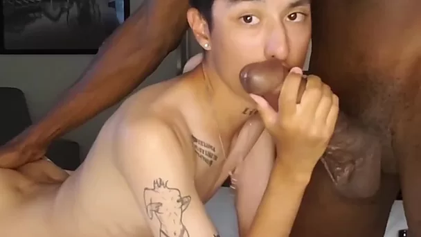 Une grosse bite noire détruit l'anus d'un minet - porno gay