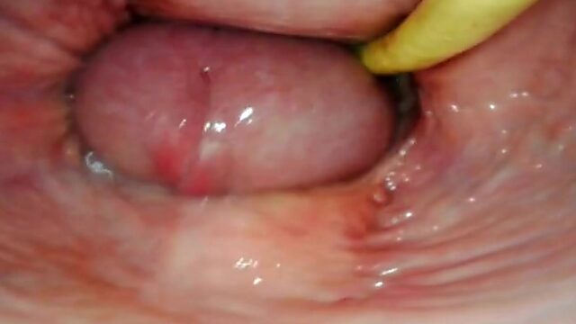 Primer plano de penetración anal interna