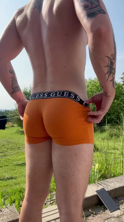 Que diriez-vous si vous voyiez votre voisin dans le jardin comme ça ?