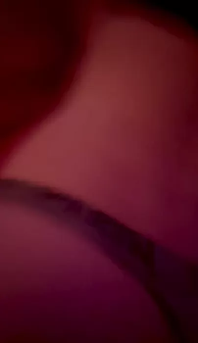 Il voulait me faire un câlin après notre balade ensemble