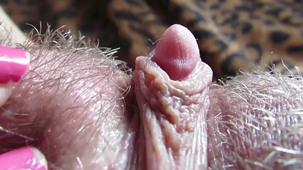 Vidéo solo en gros plan avec un clitoris géant et une chatte poilue