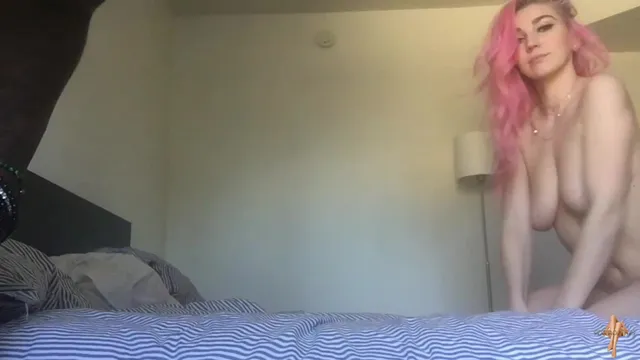 Galo preto de cabelo rosa