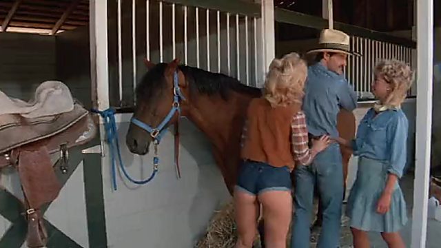 Pornô Vintage Clássico dos Anos 80 - Xerife Nick Fode Country Girl Sharon Mitchell