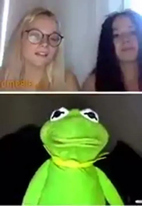 Cursed cam-guy Kermit