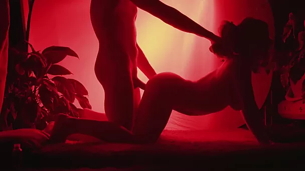 Exotic fuck in the red light (silhouette porno)