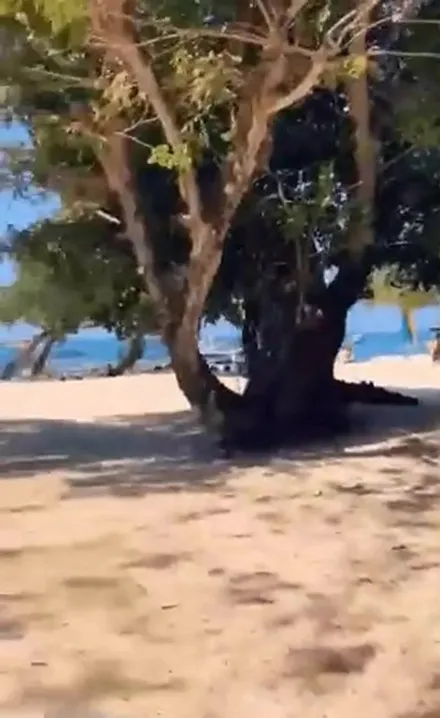 Apenas um dia casual na praia