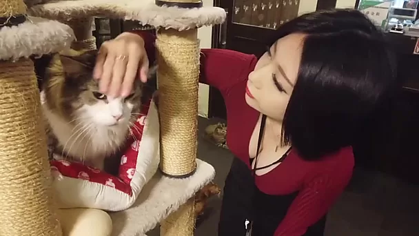 Pussy-Liebhaber hat vollbusige japanische Nutte abgeschleppt, um ihren Kitzler zu lecken